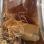 Naturalmente Wine Üdülőközpont Agliano Terme