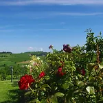 Üdülőközpont Naturalmente Wine
