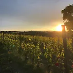 Naturalmente Wine Üdülőközpont