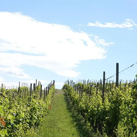 Naturalmente Wine Resort Agliano Terme