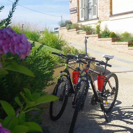 Naturalmente Wine Agliano Terme