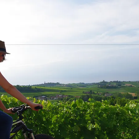 Resort Naturalmente Wine