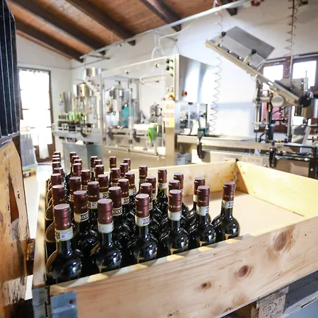 Rezort Naturalmente Wine Agliano Terme