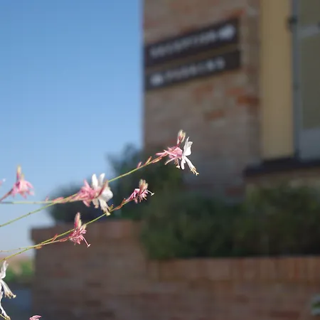 Naturalmente Wine Resort 3*