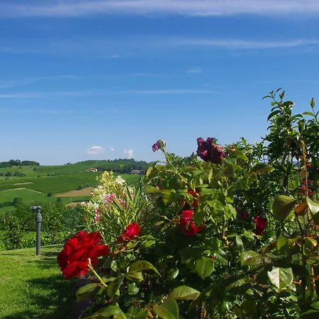 Resort Naturalmente Wine