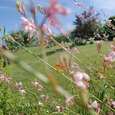 Naturalmente Wine 3*