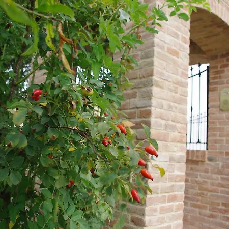 Naturalmente Wine Resort