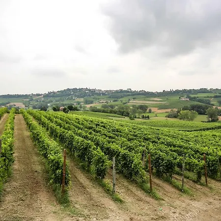 Resort Naturalmente Wine Agliano Terme