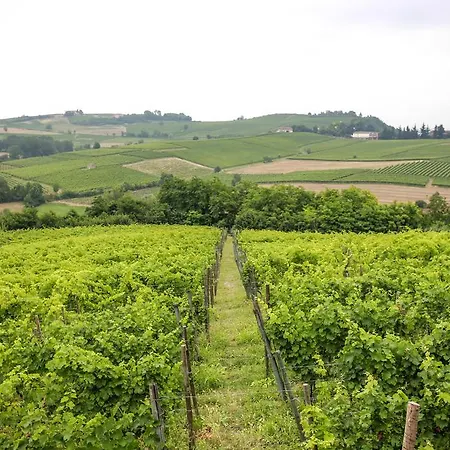 Naturalmente Wine