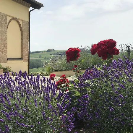 Feriested Naturalmente Wine