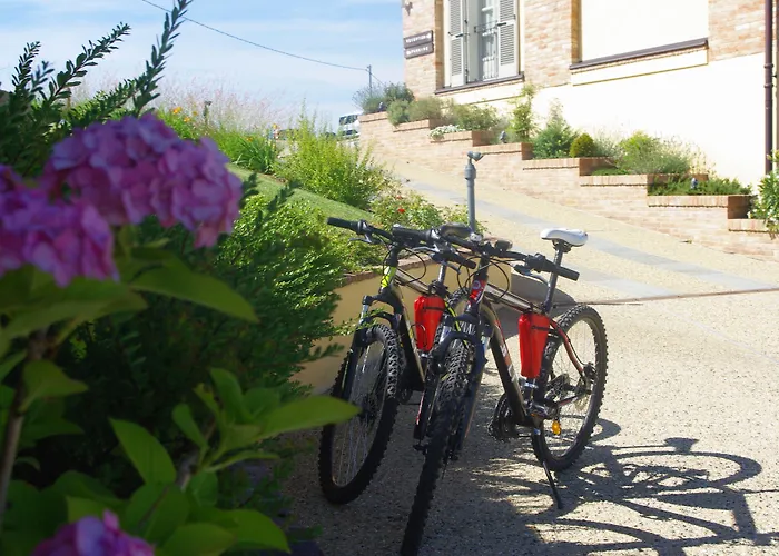 Naturalmente Wine Agliano Terme