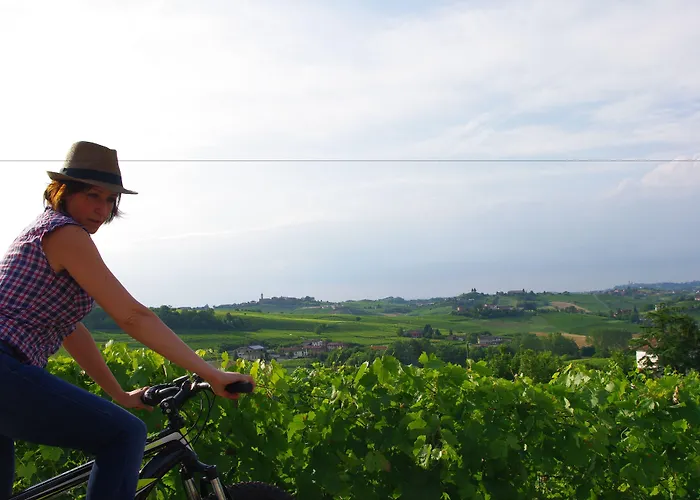 Rezort Naturalmente Wine