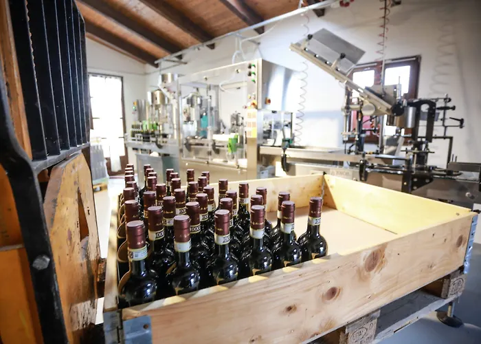 Rezort Naturalmente Wine Agliano Terme