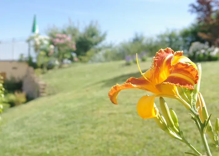 Naturalmente Wine Rezort