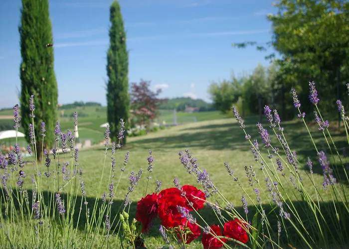 Naturalmente Wine Rezort 3*