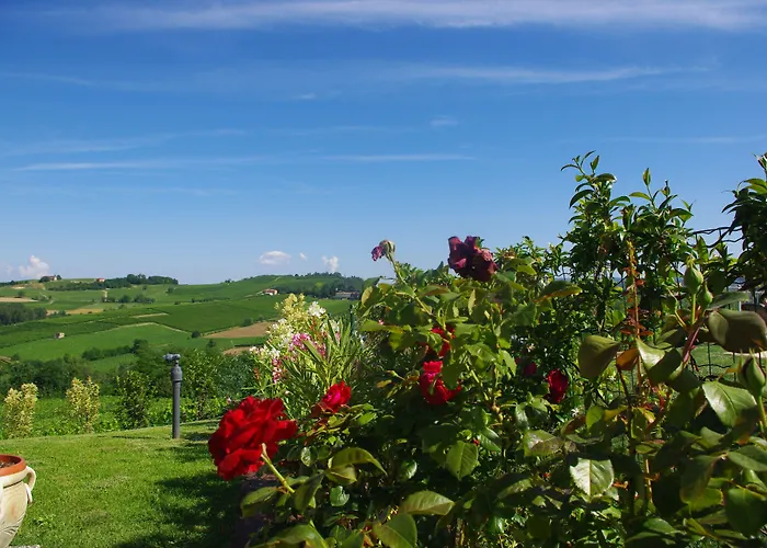 Rezort Naturalmente Wine