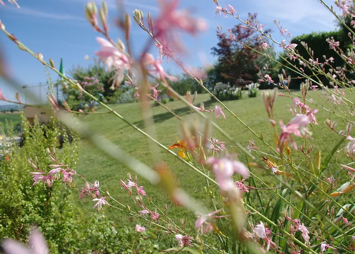 Naturalmente Wine 3*