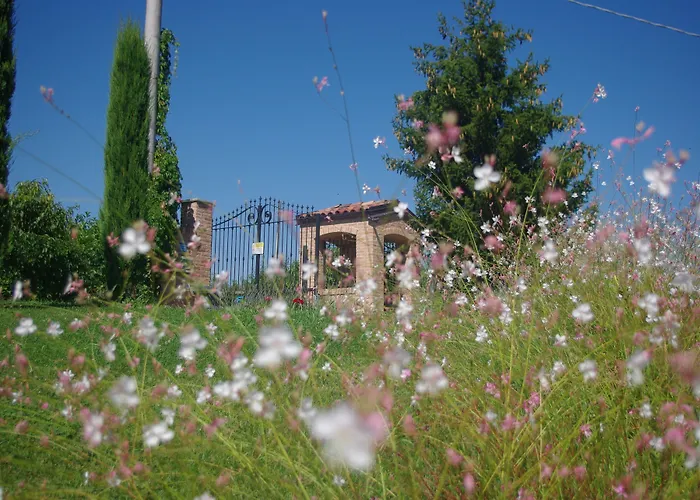 Rezort Naturalmente Wine