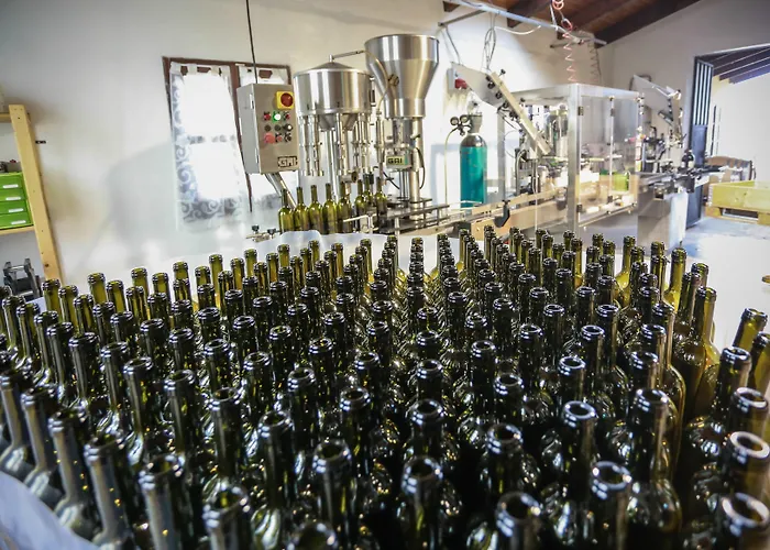 Rezort Naturalmente Wine