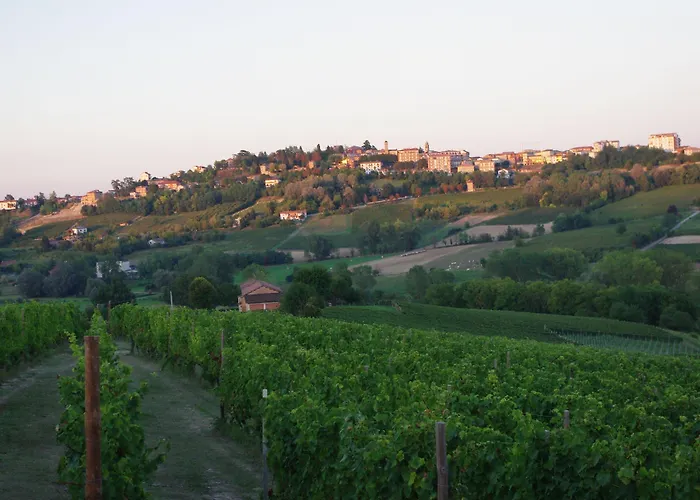 Naturalmente Wine Rezort