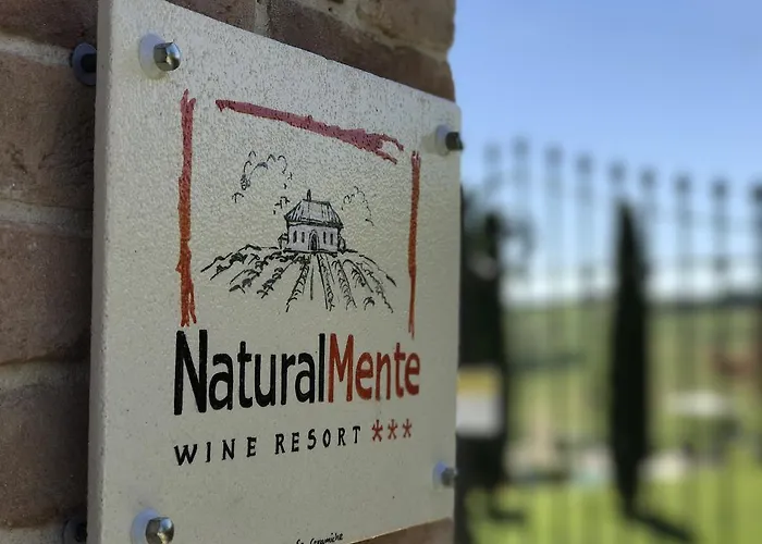 Naturalmente Wine 3* Agliano Terme