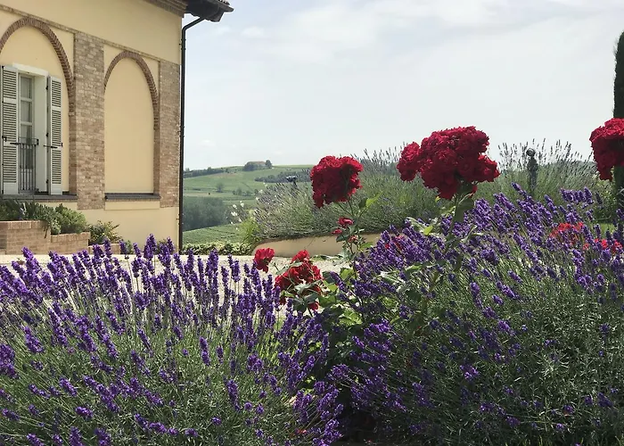 Rezort Naturalmente Wine