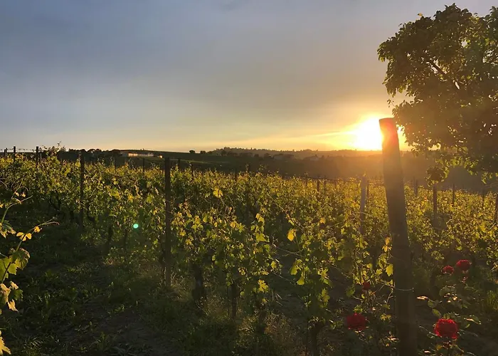 Naturalmente Wine Rezort